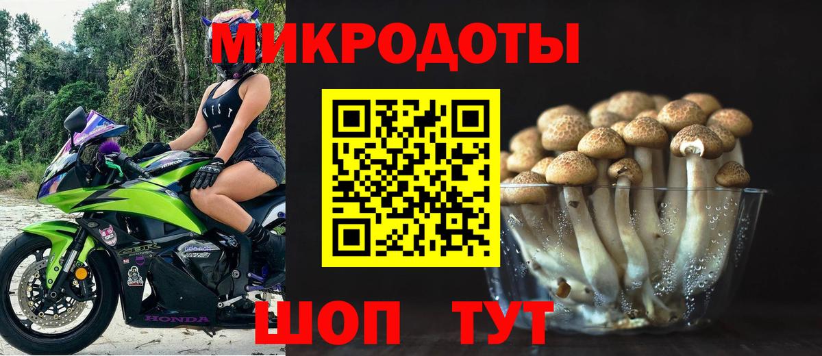 Псилоцибиновые грибы MAGIC MUSHROOMS  Вход с VPN  Серов  Псилоцибиновые грибы прущие грибы 